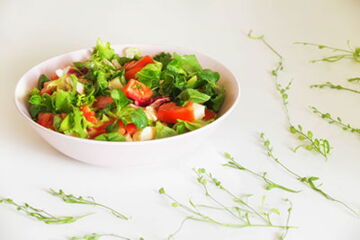 Mozzarella Salat mit Mozzarella, Eisbergsalat, Tomaten, Gurken, Paprika und Basilikum